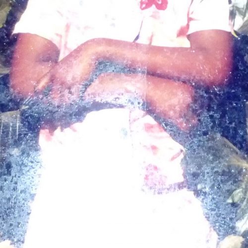 S - MM 2785, Limpopo