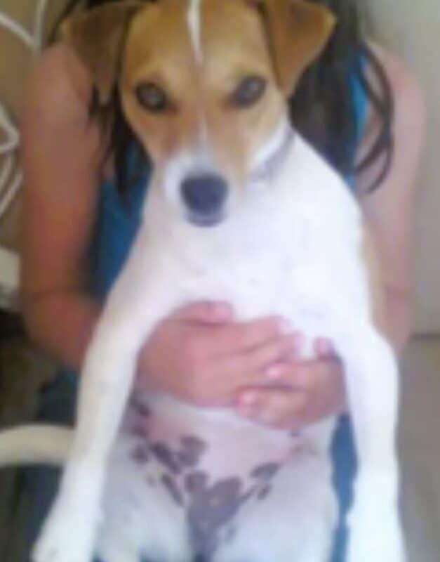 S - CL 6018, Port Elizabeth